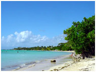 plage de la coule douce lagon de saint francois guadeloupe